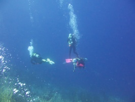 Divers IMG 7155